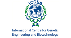 ICGEV Logo